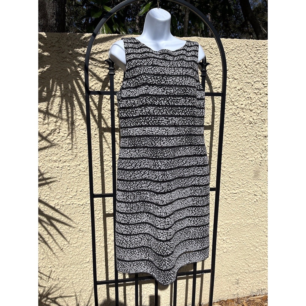 Ann Taylor Dress Size 10 Sleeveless Lined Layered Office Career